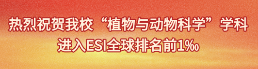 20250911192128_98_33.png